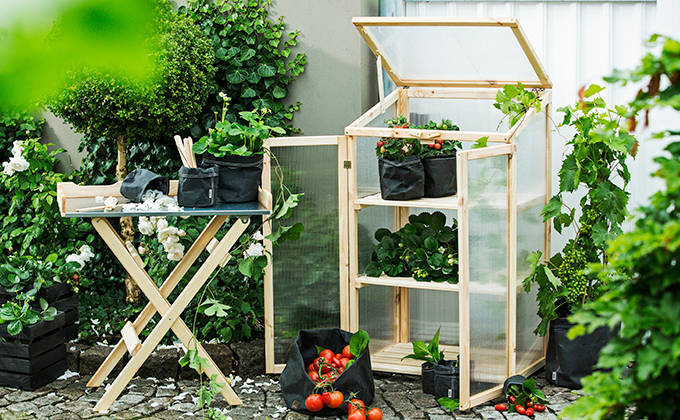 kasvihuone artikkelikuva2