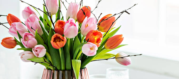 Pirkka-tulppaaniasetelma