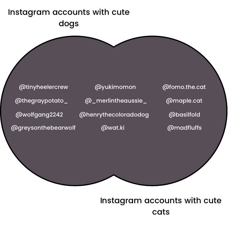 Union of cute Instagram accounts