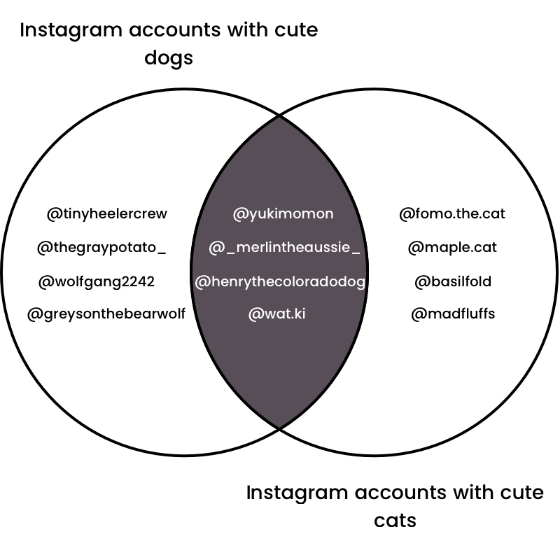 Intersection of cute Instagram accounts