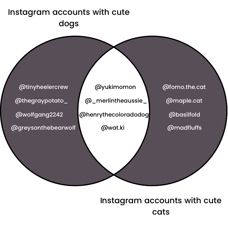 Symmetric difference of cute Instagram accounts