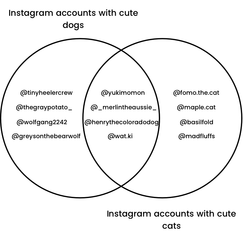 Venn diagram of cute Instagram accounts