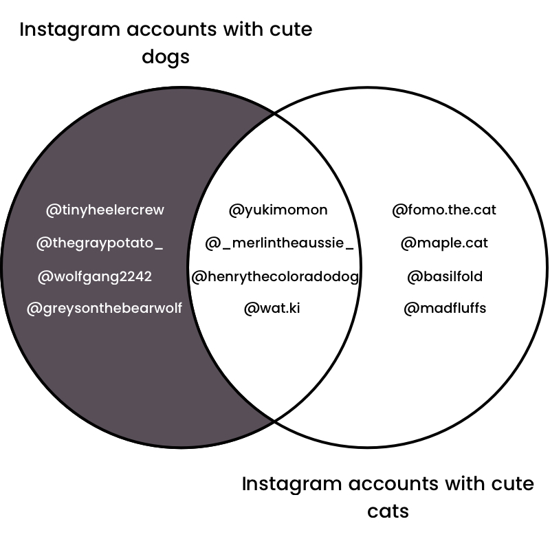 Difference of cute Instagram accounts