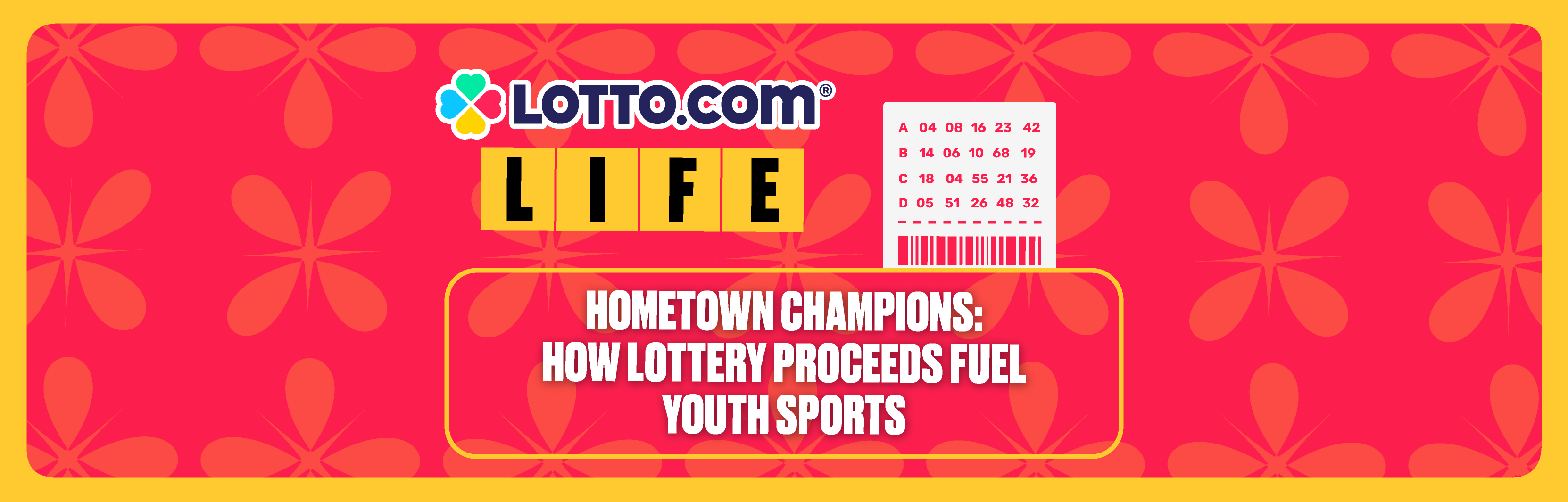 Hometown Champions: How Lottery Proceeds Fuel Youth Sports