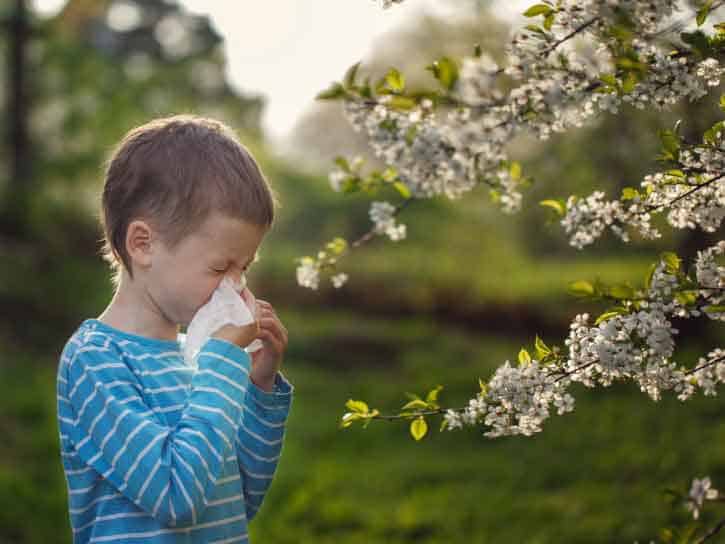 Allergy to pollen