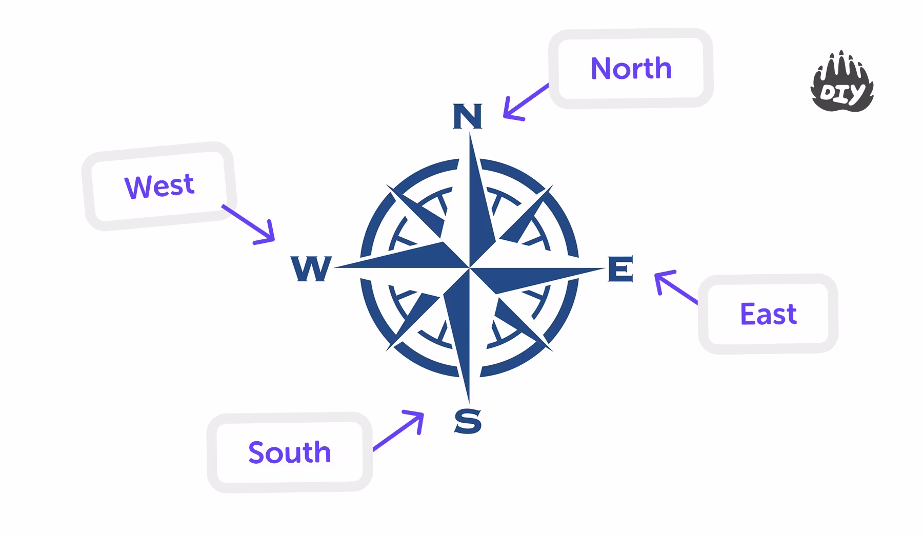 What Are the Cardinal Directions on a Compass? Explained by the Ai Homework Helper