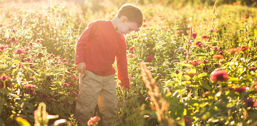 child playing in a field