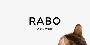 メディア掲載