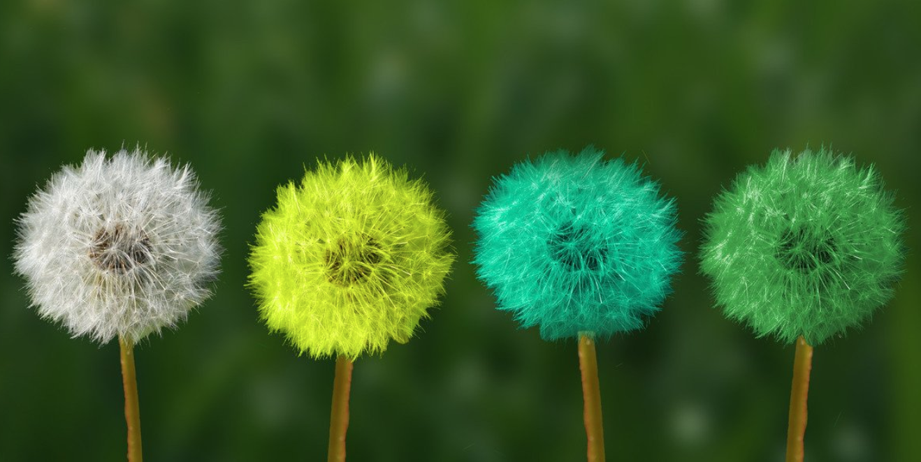 Beneficios de la resiliencia para tu negocio