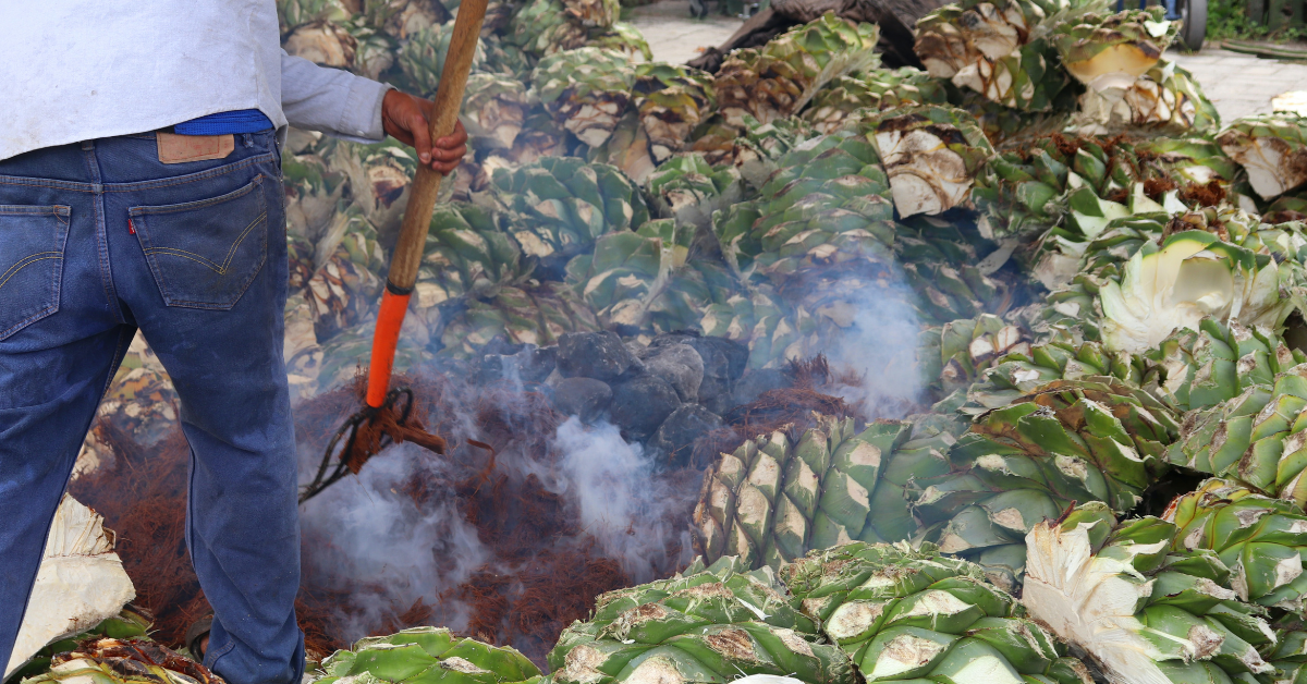 El Mezcal va por los mercados internacionales: las razones de su popularidad y los retos de esta exportación mexicana artesanal. analuisa gamboa, Unsplash.