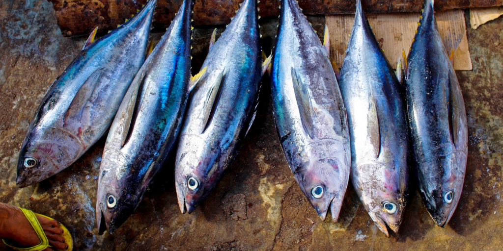 Las exportaciones de México con crecimiento