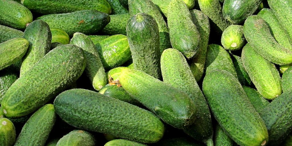 Las exportaciones de México a la baja en febrero 2021