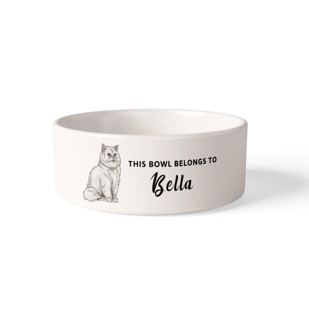 Pet Bowl