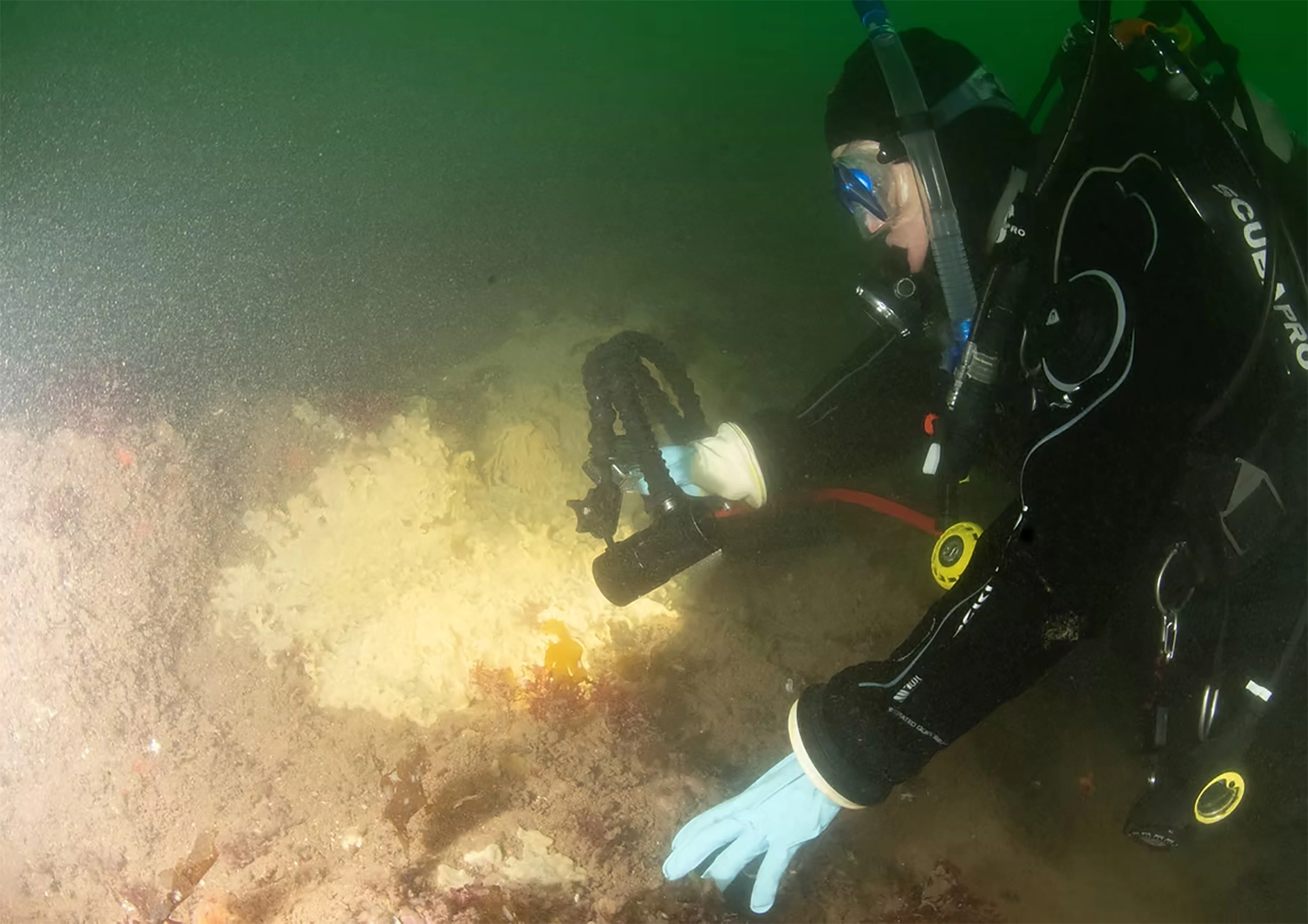 Huntsman Marine - Image 4