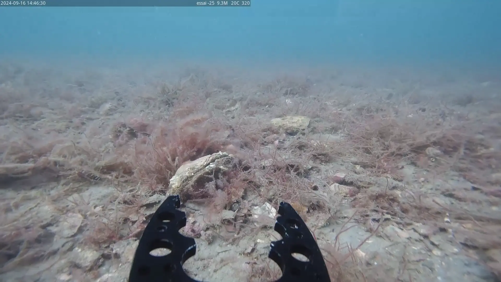 photon-grabber-oyster-2