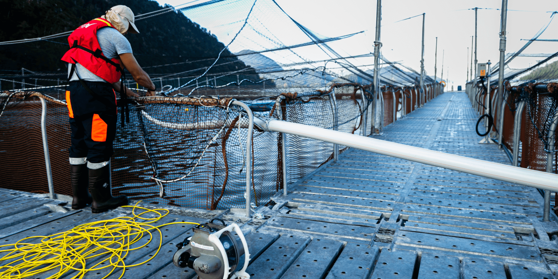 Aquaculture Fish Farm (Article Image)