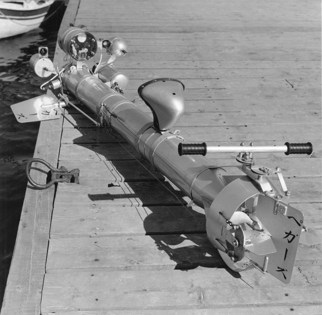 The Pegasus early drone