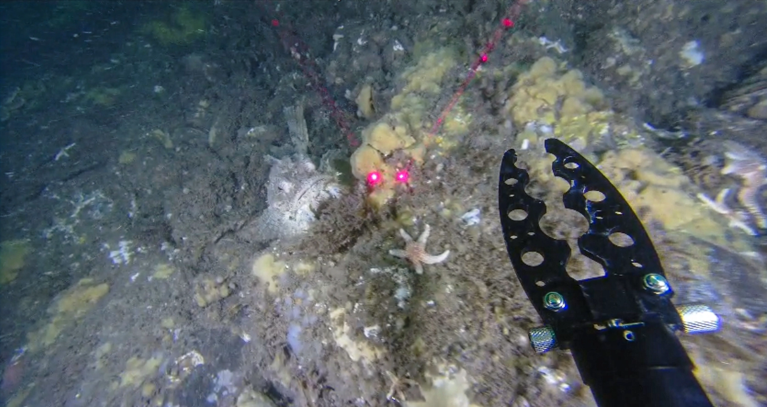 Huntsman Marine - Image 3