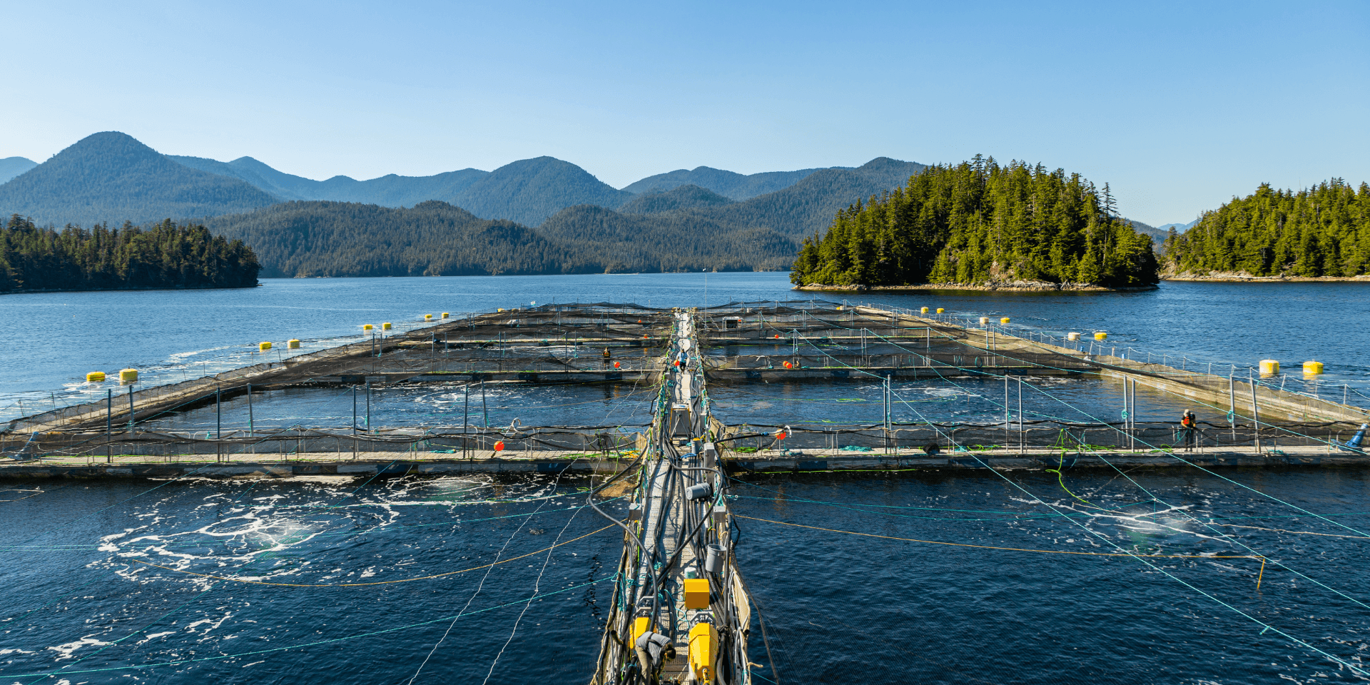 Aquaculture farm (Article image)