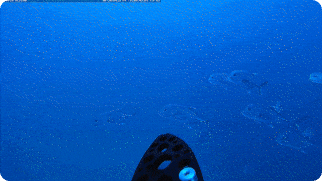Marine Science gif