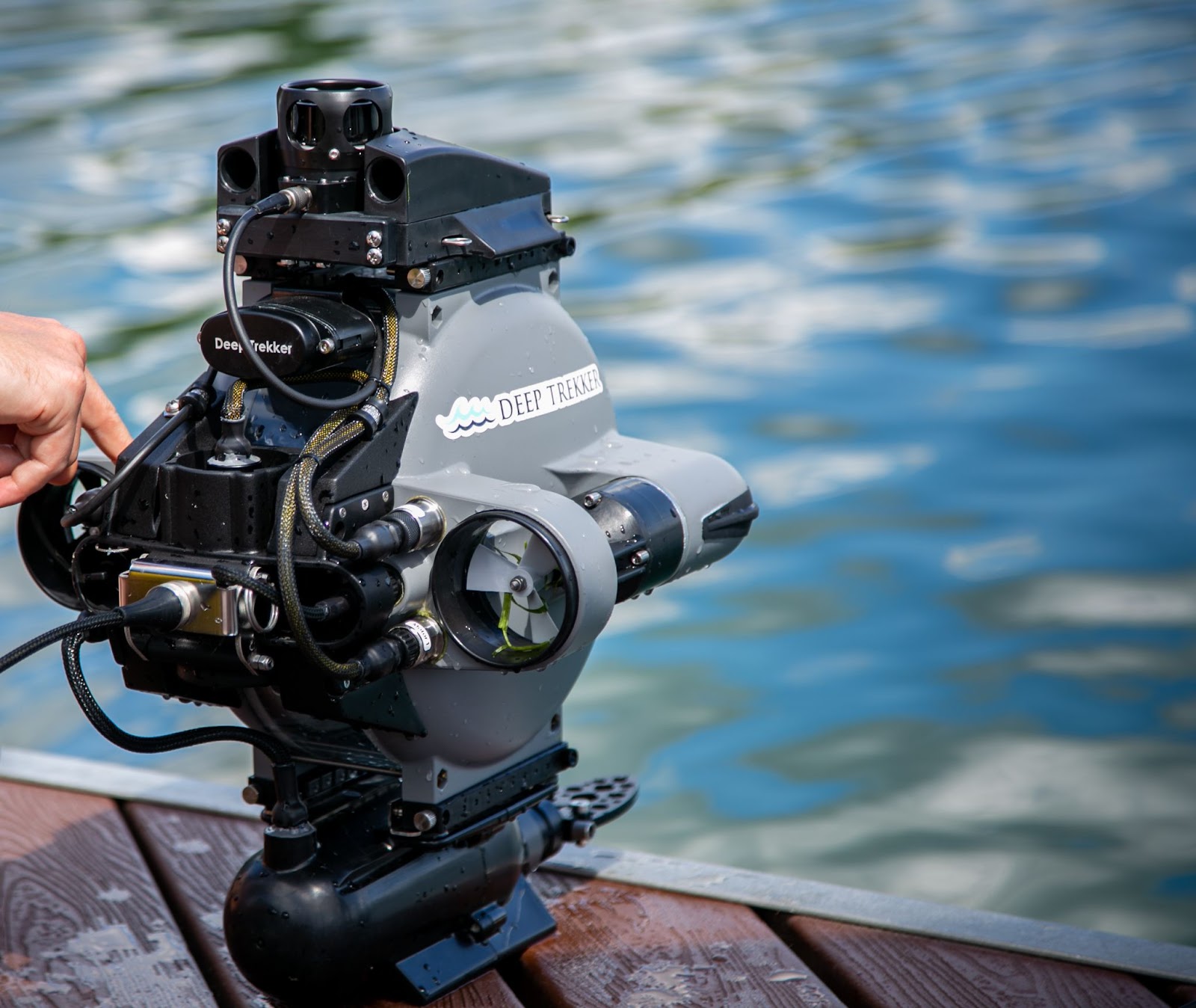 droplets-fountain-water-bird