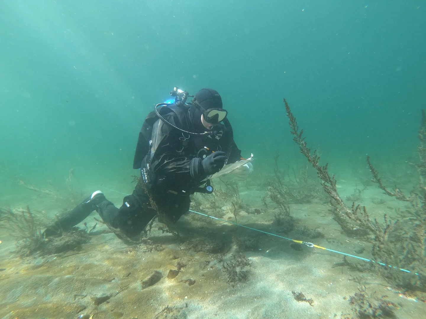 a-tlegay-diver-inspection