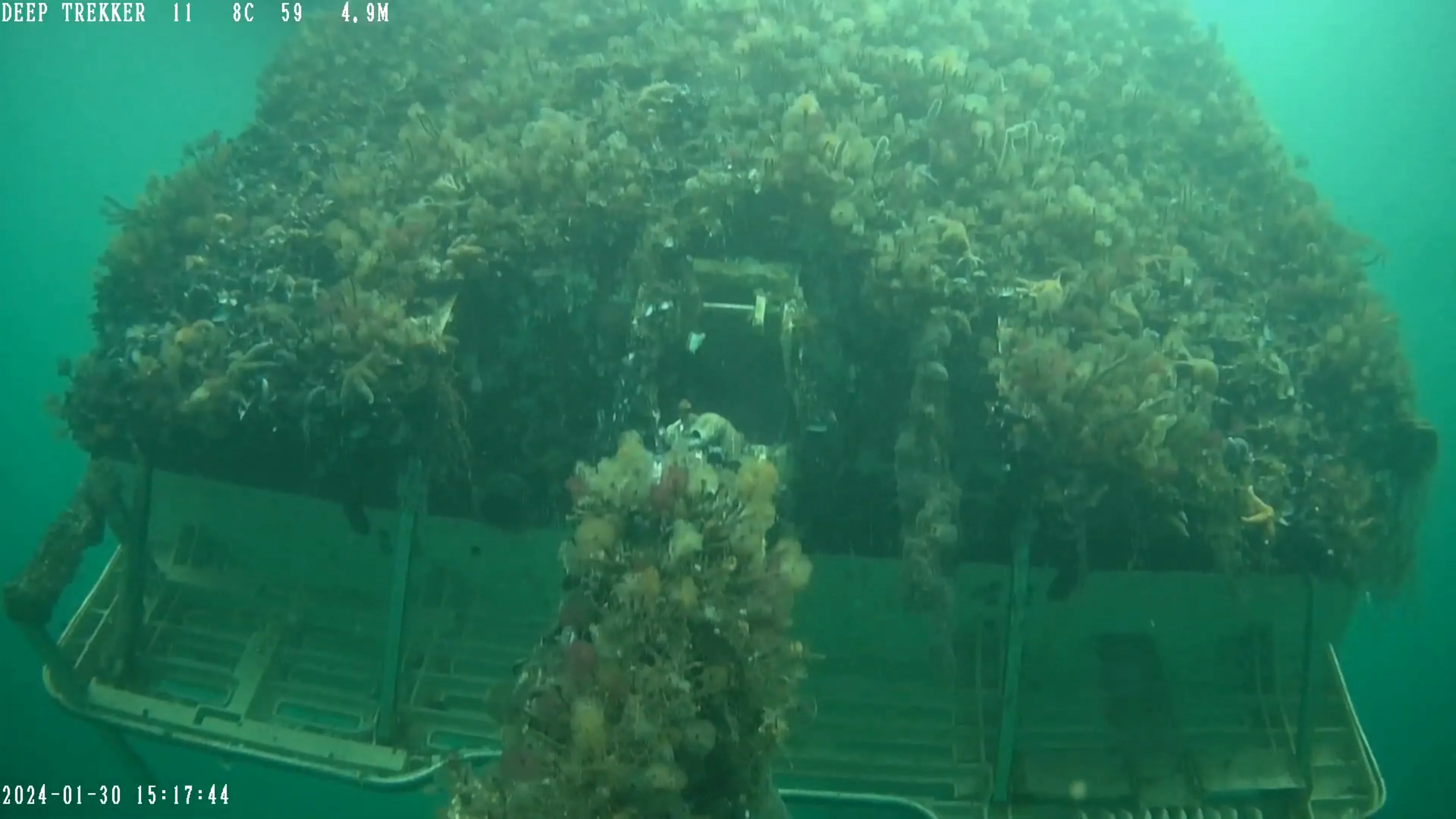 a-tlegay-boat-marine-life-growth