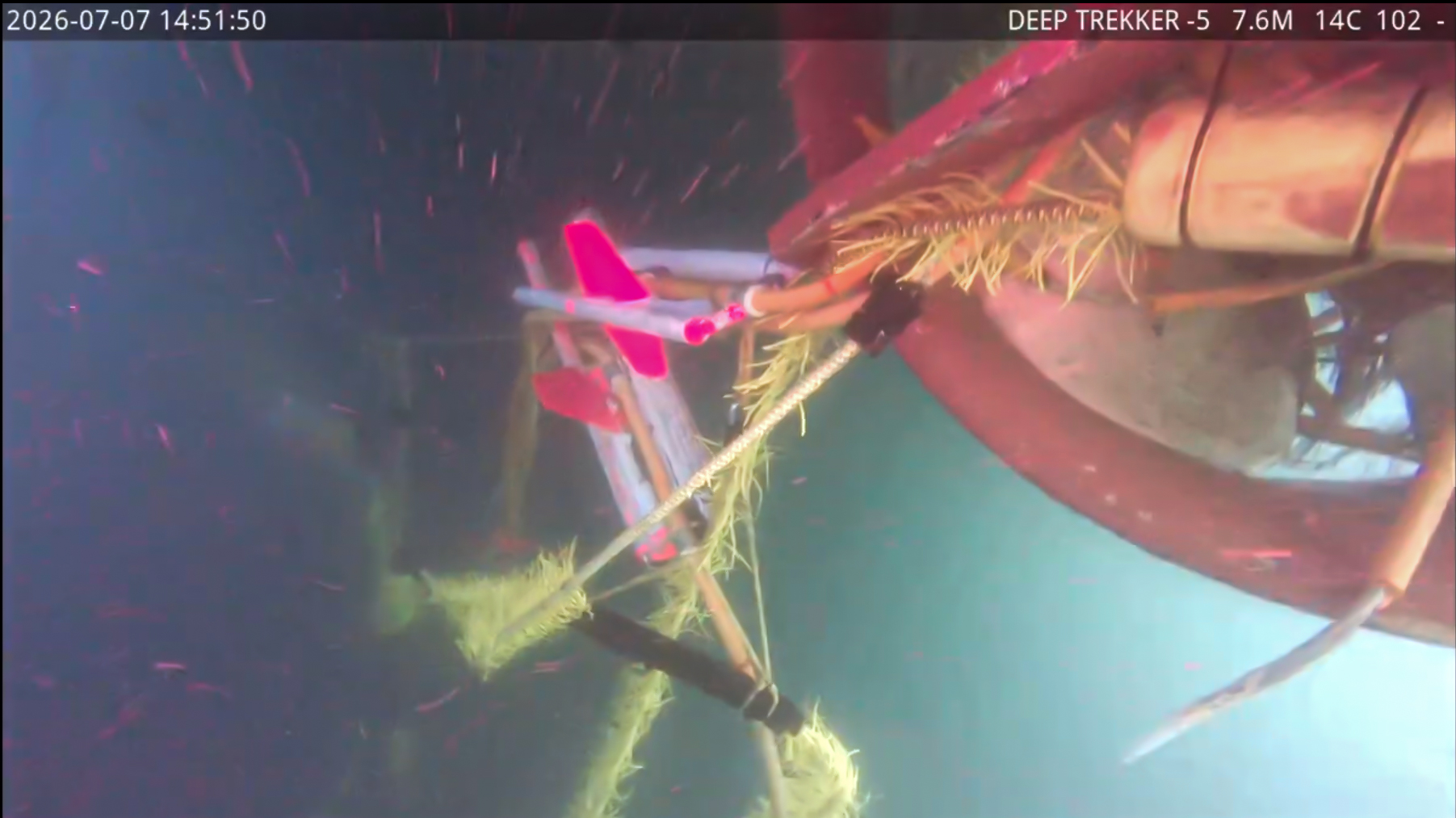 proteus-propellor-inspection