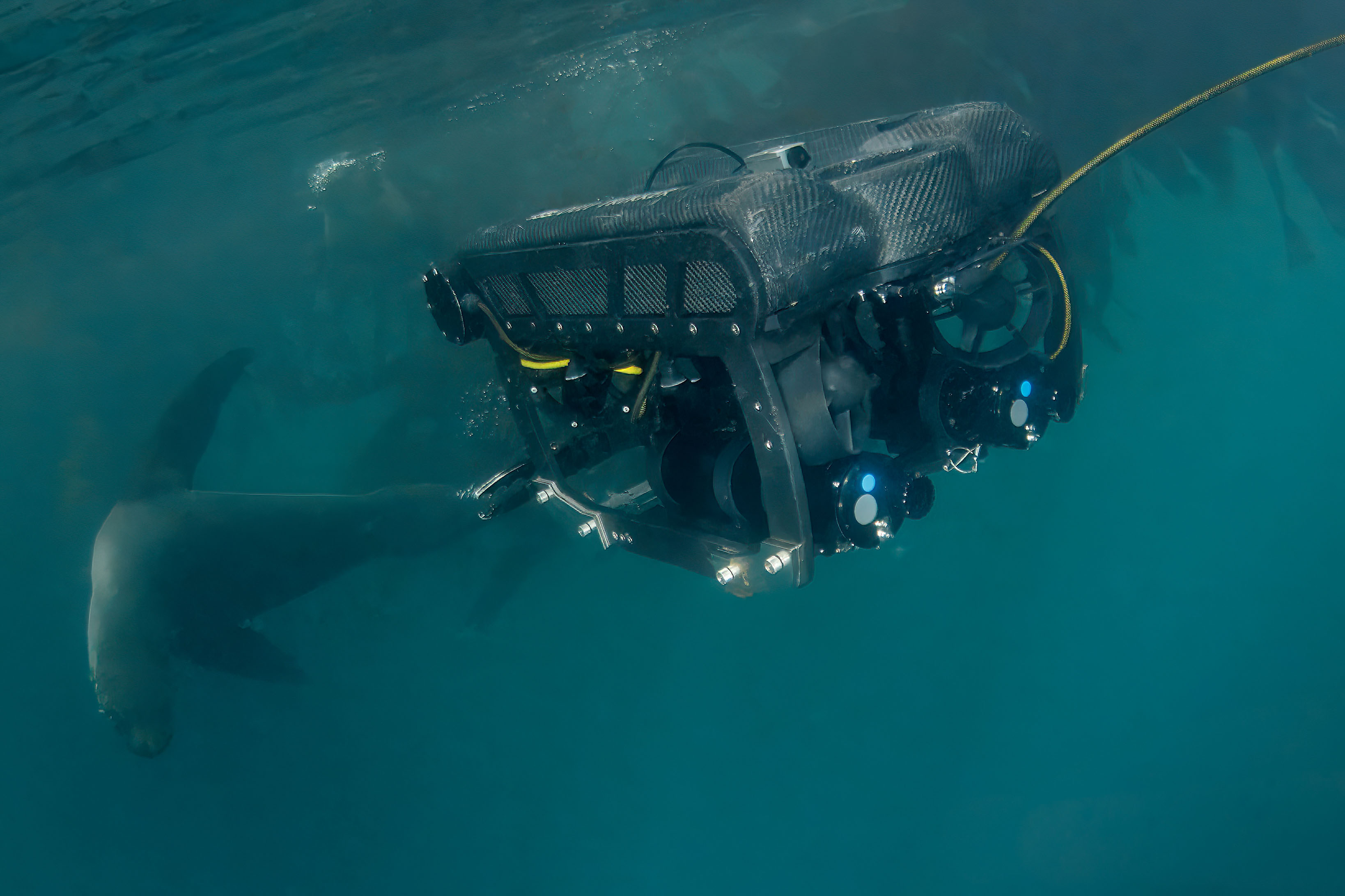 swx-2026-pivot-rov-seal