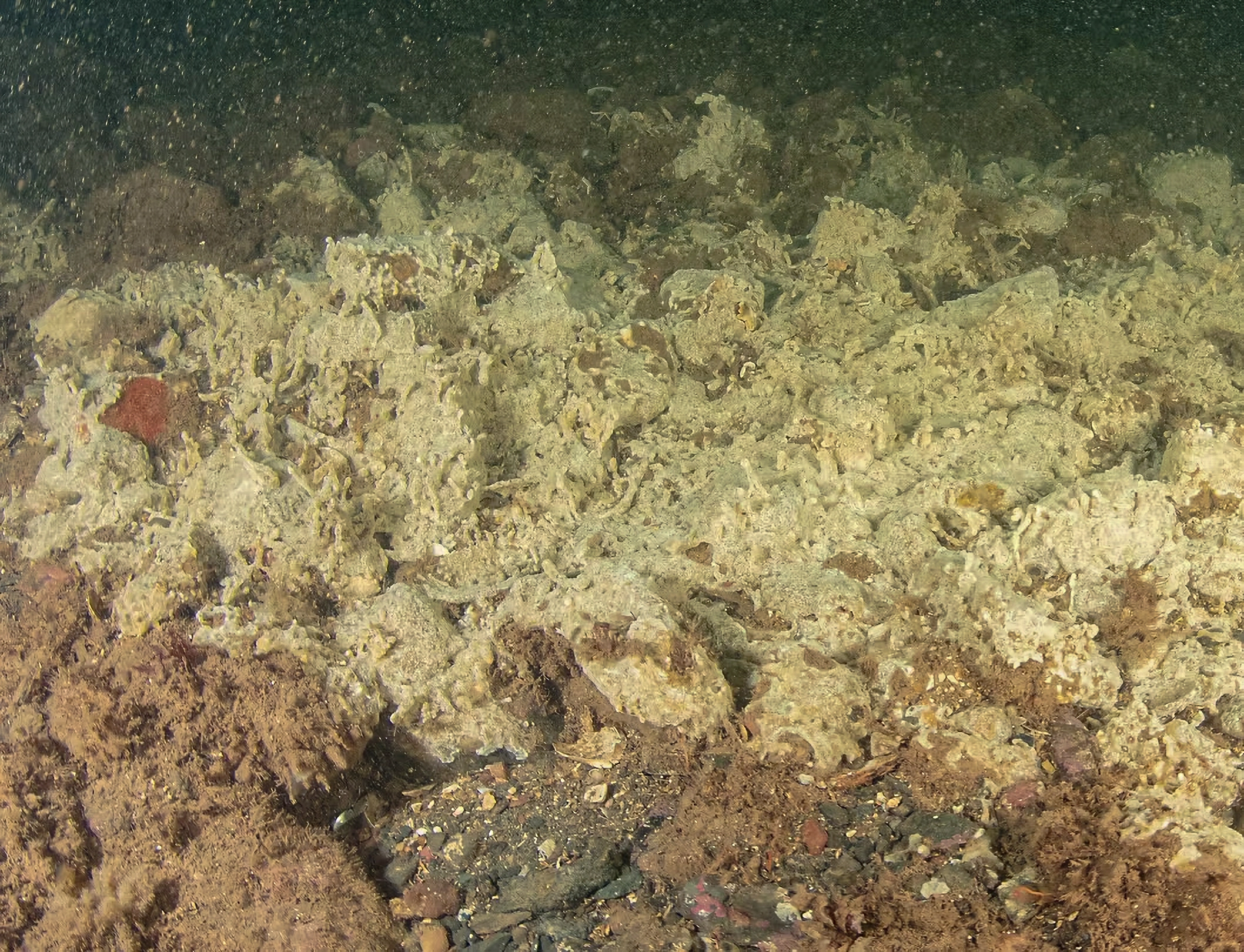 Huntsman Marine - Image 1