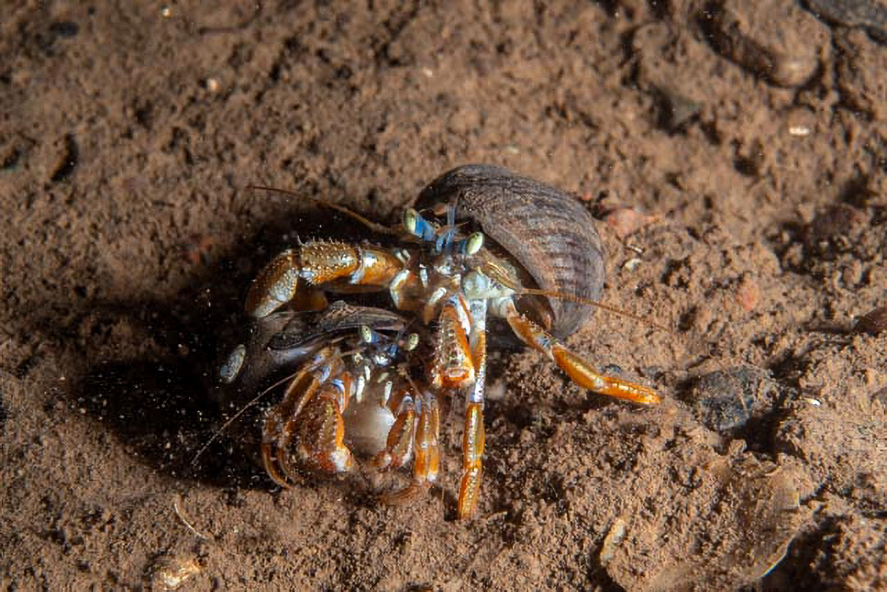 Huntsman Marine - Image 9