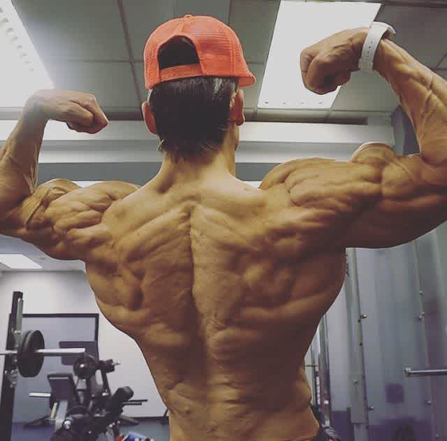 Helmut Strebl back muscle