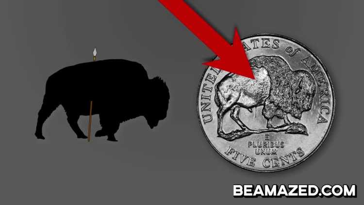2005 US nickel spear through bison belly