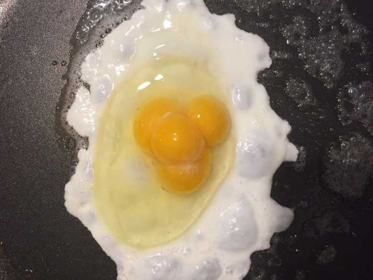 Eggcelent Find quadruple egg yolk