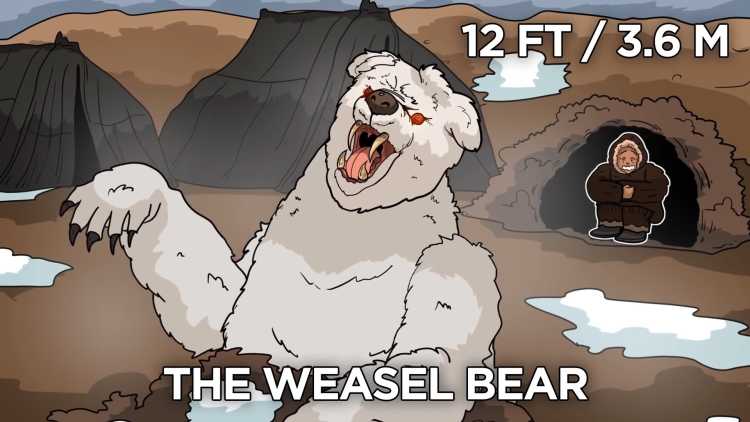 weasel bear