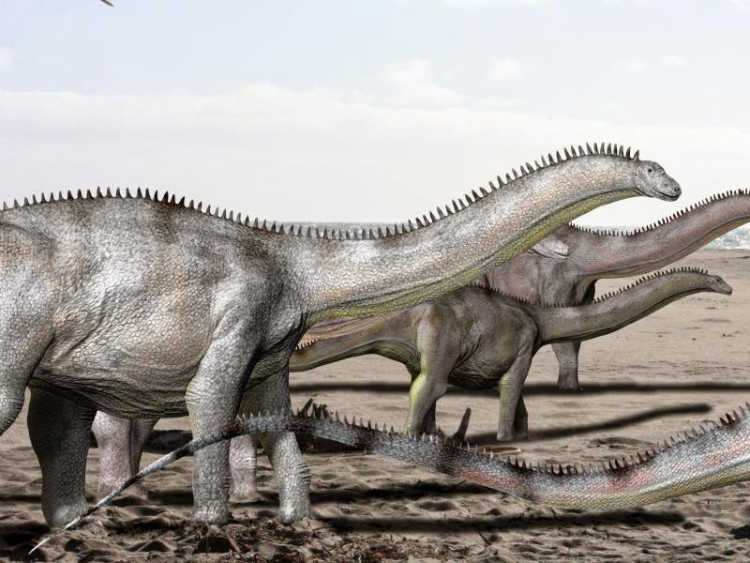 Brontosaurus dinosaur restoration