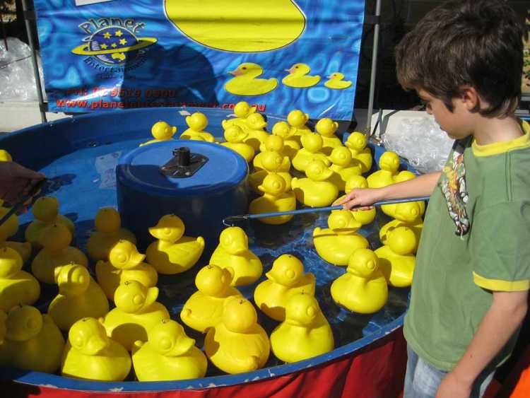 Secret Carnival Tricks The Duck Pond game