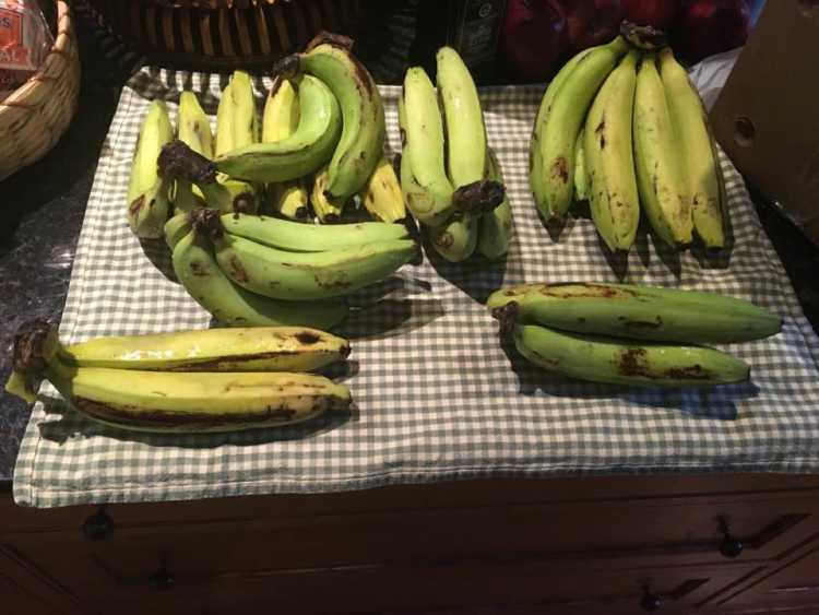 Gros Michel Bananas