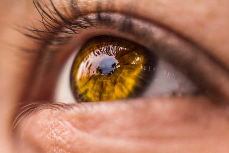 Rarest Eye Colours Spotted in Humans Amber