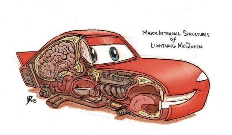 Cars McQueen internal organs