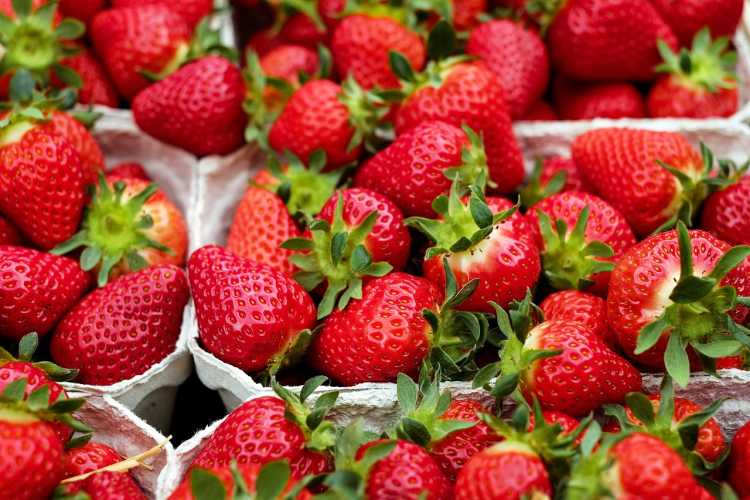 Fruits strawberry strawberries 