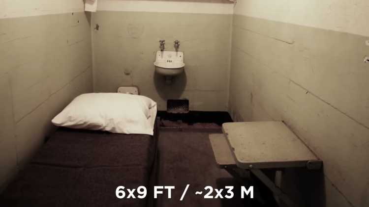 solitary cell