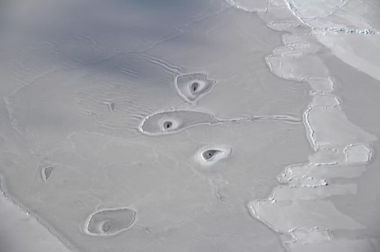 Mysterious Arctic Ice Holes strange shapes found in the arctic Strange Ice Circles in Arctic Sea holes