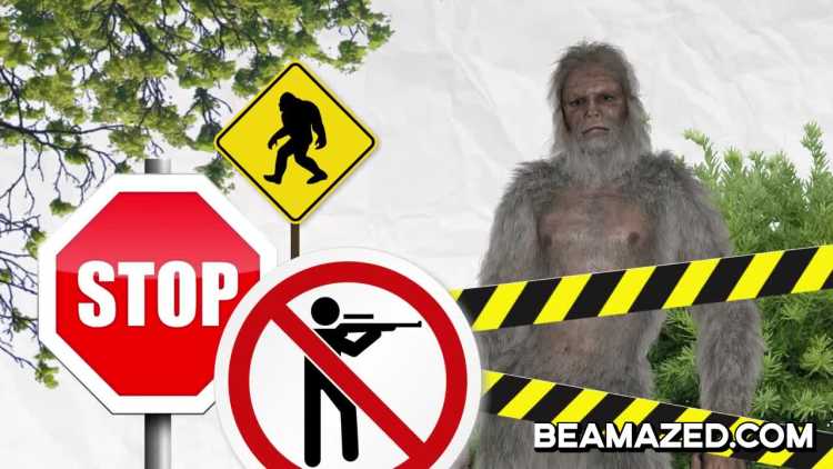 Bizarre Things You Can't Do in America Don’t poach Sasquatch in Washington State