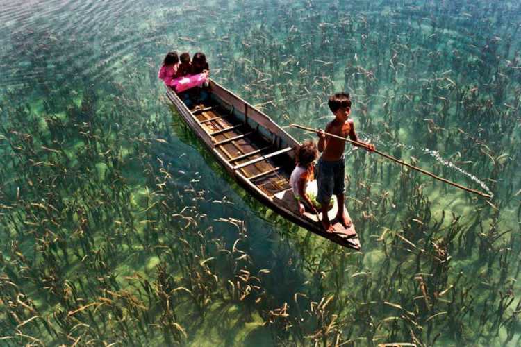 Beautiful Places Crystal Clear Water Lake in Sabah, Malaysia