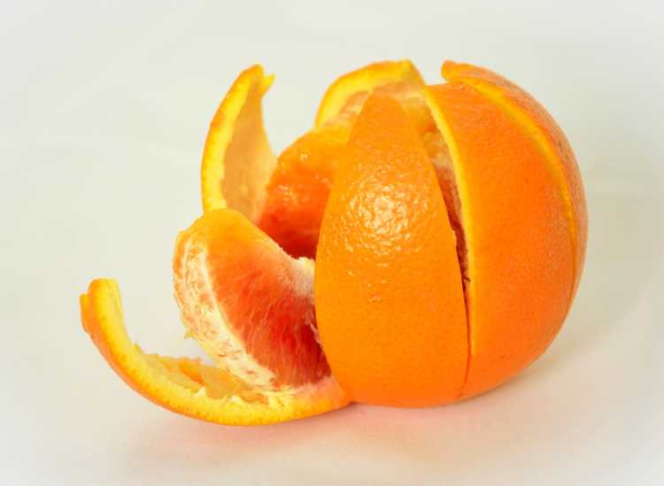 Fruit orange Peel slices