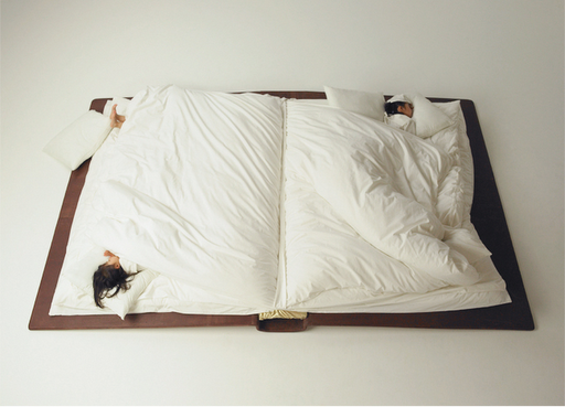 Unusual Beds Book Bed