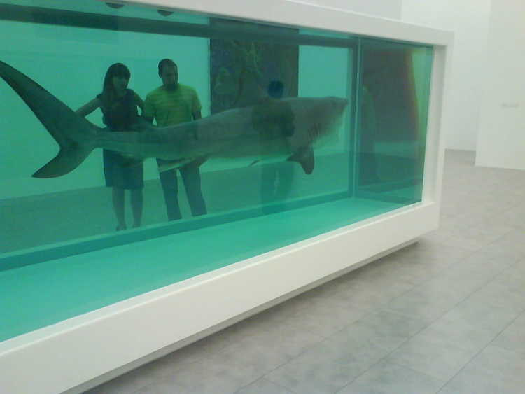 Damien Hirst entitled 'The Physical Impossibility of Death in the Mind of Someone Living'