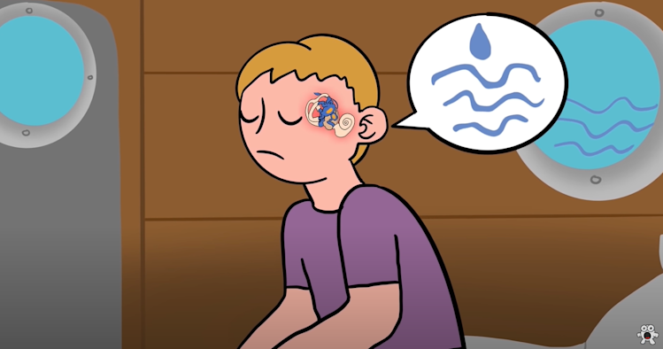 What causes motion sickness? What causes motion sickness?