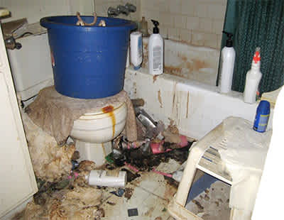 dirty toilet houston messiest apartment 